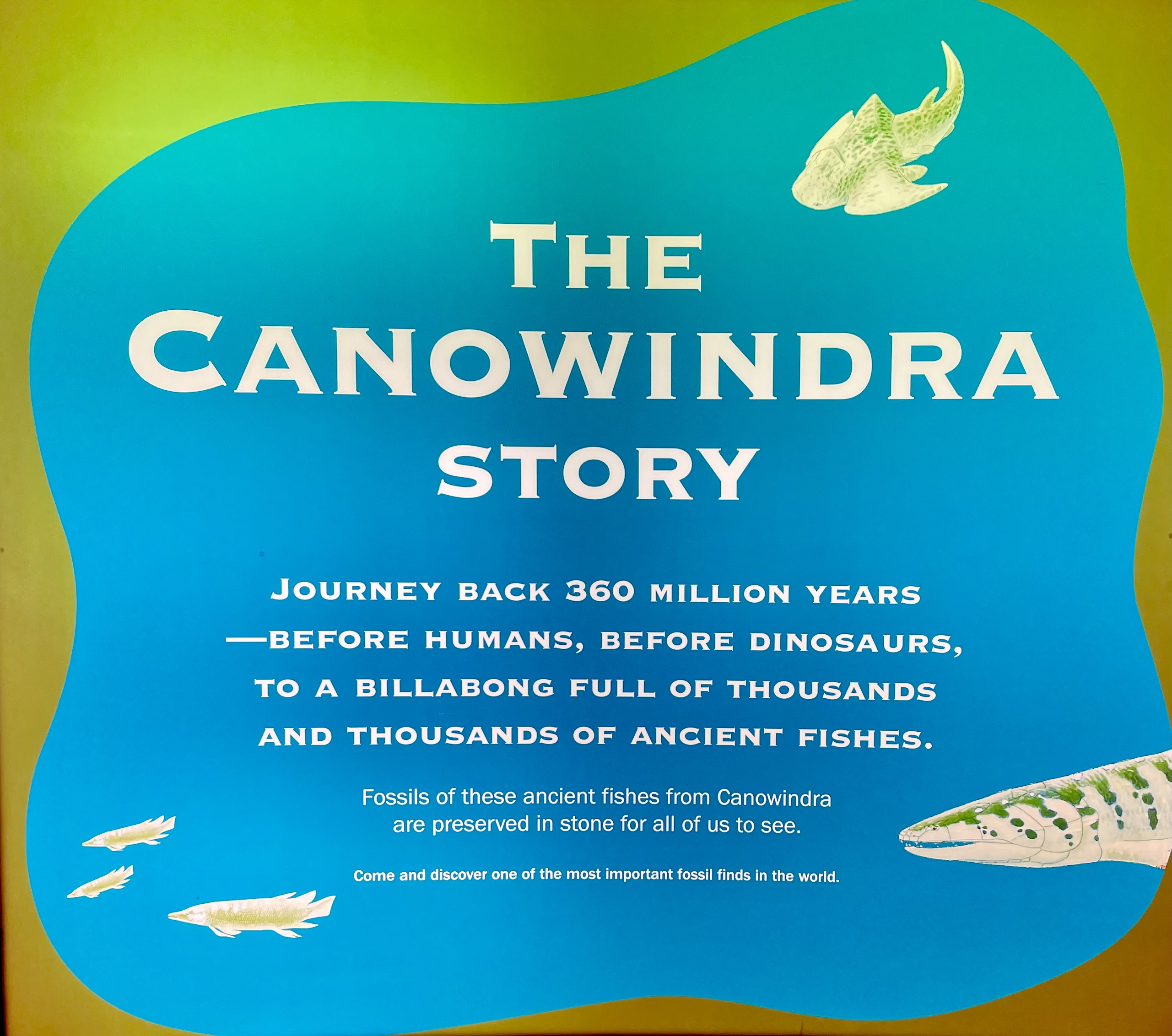 Canowindra Age Of Fishes Museum